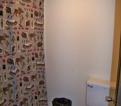 A bathroom with a nature-themed shower curtain featuring images of bears, moose, trees, and cabins. The bathroom includes a white toilet with a black trash can next to it. The floor is wooden, and the walls are plain and white.